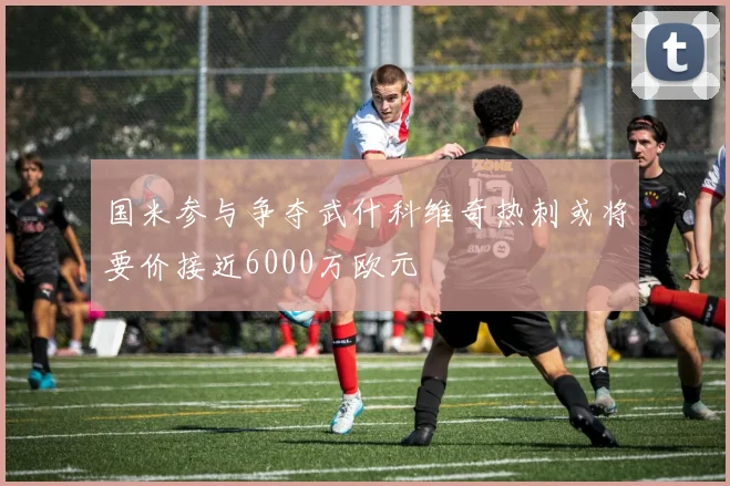 国米参与争夺武什科维奇热刺或将要价接近6000万欧元