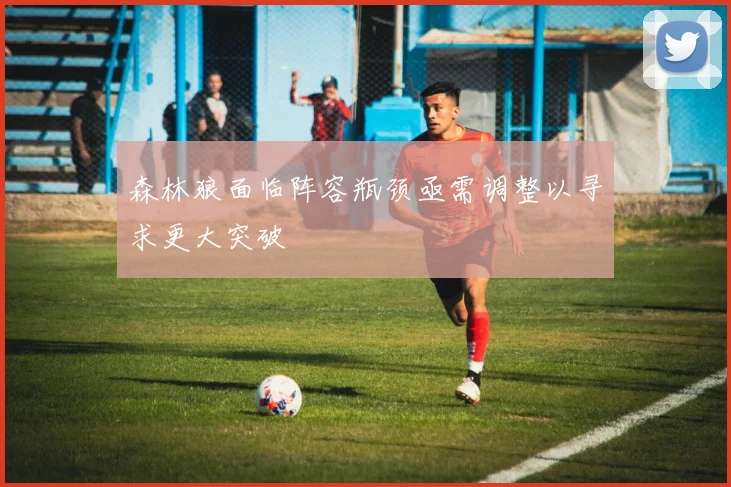 森林狼面临阵容瓶颈亟需调整以寻求更大突破